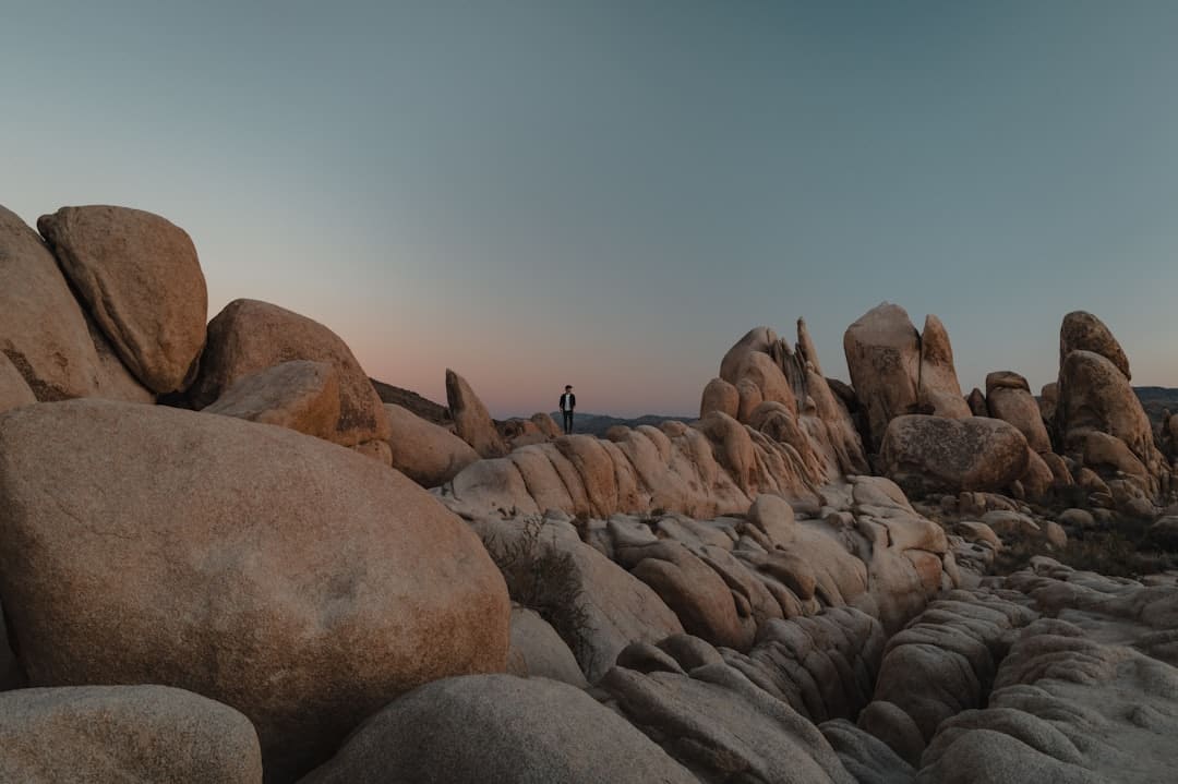 漳浦余甘“错峰”出道